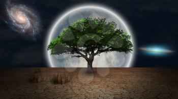 Surrealism. Green tree of life in arid land. Full moon and galaxies in night sky