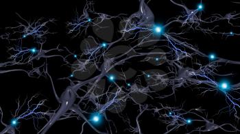 Neurons. Brain cells with electrical firing