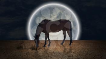 Surrealism. Horse grazes in arid land. Giant moon at the horizon