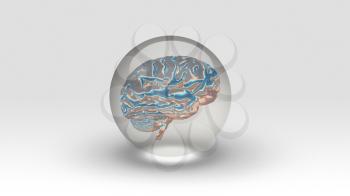 Brain inside bubble. 3d rendering.