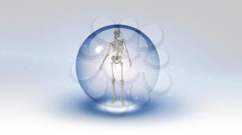 Human skeleton inside bubble. 3D rendering.