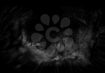 People walk through mysterious forest at night. 3D rendering