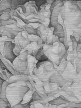 Flowers petals abstract. 3D rendering