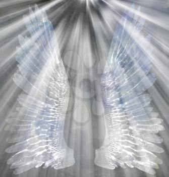 Angels wings and rays of light. 3D rendering