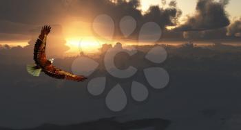 Eagle in Flight Above Dramatic Cloudscape. 3D rendering