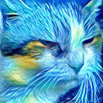 Modern art. Dormant cat close-up. 3D rendering