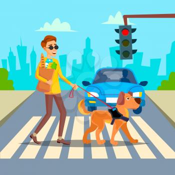 Blind Man Vector. Young Person With Pet Dog Helping Companion. Disability Socialization Concept. Blind Person And Guide Dog On Crosswalk. Character Illustration