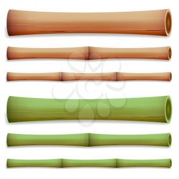 Bamboo Stems Isolated. Green And Brown Sticks. Vector Illustration. Realistic Element