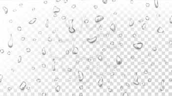Water Drops Background Vector. Clean Fresh Water. Abstract Bubble. Freshness Concept. Liquid Texture. Shower Flux. Isolated On Transparent Background Illustration