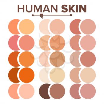 Human Skin Vector. Various Body Tones Chart. Realistic Texture Palette. Color. Cosmetic Graphic Element. Illustration
