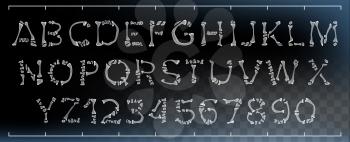 Bone Font Vector. Letters Anatomy. ABC Alphabet. Skeleton Style. Hell Scary Alphabet. Isolated Transparent Illustration