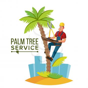 Palm Tree Care Vector. Trimming Tree Or Removal To Tree Pruning. Isolated On White Cartoon Character Illustration