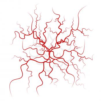 Human Blood Veins Vector. Red Blood Vessels Design. Illustration Isolated On White