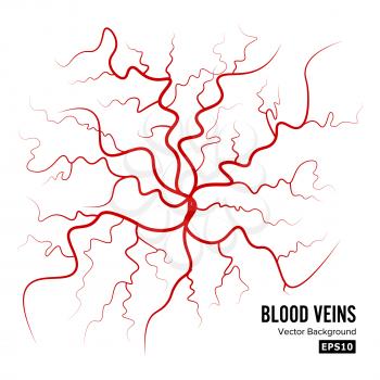 Human Blood Veins Vector. Blood Arteries Isolated On White. Blood Veins. Image Of Health Red Veins