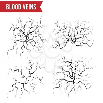 Human Blood Veins Vector. Blood Arteries Isolated On White. Set Of Blood Veins. Image Of Health Red Veins