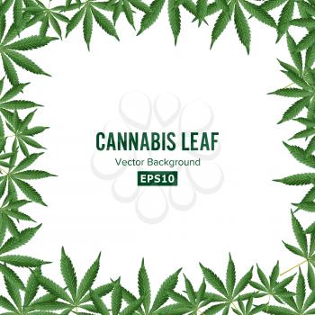 Cannabis Background. Vector Marijuana Frame Green Leaf