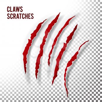 Claws Scratches Vector. Claw Scratch Mark. Bear, Tiger Paw Claw Scratch Bloody. Shredded Paper