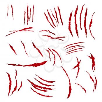 Claws Scratches Vector. Isolated On White. Bear Or Tiger Paw Claw Scratch Bloody. Shredded Paper