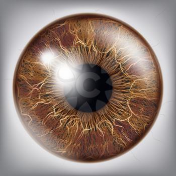 Eye Iris Realistic Vector. Anatomy Concept Illustration