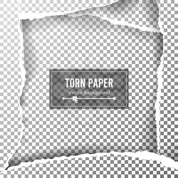 Torn Paper Blank Vector. Ripped Edges With Space For Text. Torn Page Banner For Web And Print. Sale Promo, Advertising, Presentation. Damaged Paper For design.