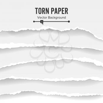 Torn Paper Blank Vector. Collection Of White Torn Paper. Ripped Edges