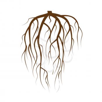 Tree Underground Roots Vector Set. Illustration Isolated