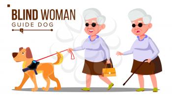 Blind Old Woman With Dark Glasses, Cane In Hand And Guide Dog Vector. Isolated Illustration