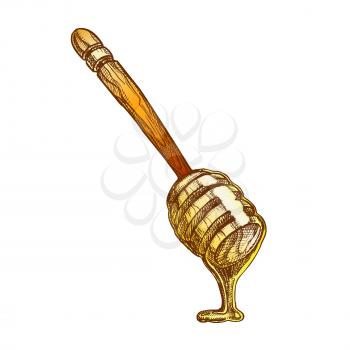 Honey Dripping From Wooden Dipper Stick Vector. Fresh Organic Natural Bee Product Flowing From Stick. Healthy Delicious Sweet Food Ingredient For Dessert Or Drink Color Illustration
