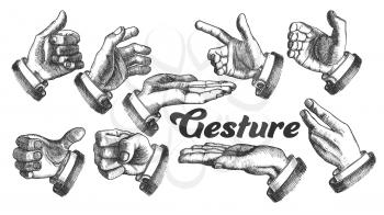Collection of Different Gesture Set Vintage Vector. Man Hand Gesture Looks Like Holding Water Glass or Bottle, Cigarette Or Balloon, Gun Or Stick. Opening Door Or Show Pointing Monochrome Illustration