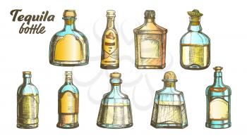 Stylish Collection Tequila Glass Bottle Set Vector. Sketch Of Different Design Modern And Vintage Bottle For Traditional Mexican Alcohol Drink. Bright Assortment Of Liquid Package Color Illustrations