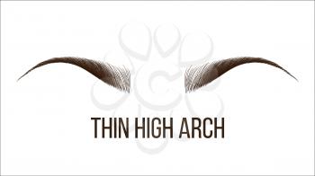 Thin High Arch Vector Hand Drawn Brows Shape. Female Brows Style With Title Isolated Clipart. Microblading, Tattooing Master Business Card. Beauty Industry. Eyebrows Realistic Illustration