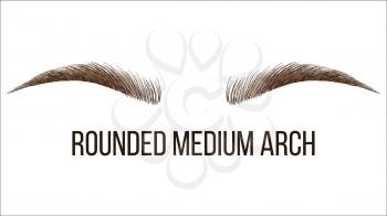 Rounded Medium Arch Vector Hand Drawn Brows Shape. Permanent Brows Tattooing Studio. Microblading Master Salon. Beauty, Cosmetology Business. Eyebrows Natural Makeup Realistic Illustration