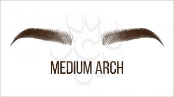 Medium Arch Brows Shape Vector Web Banner Template. Female Brows Style, Type Isolated Clipart. Microblading Master Salon, Beautician Parlor. Trendy Makeup. Women Eyebrows Realistic Illustration