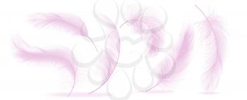 Pink Feathers Set Vector. Different Falling Fluffy Twirled Feathers. Healthy Sleep, Dreams. Illustration