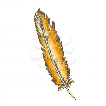 Color Decorative Bird Element Feather Monochrome Vector. Standing Feather Bird Detail Formed In Tiny Follicles In Epidermis Or Outer Skin Layer. Template Designed In Retro Style Illustration