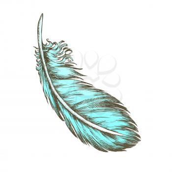 Color Lost Bird Outer Element Feather Monochrome Vector. Decorative Feather Flyer Detail Aid In Flight, Thermal Insulation And Waterproofing. Designed In Retro Style Illustration