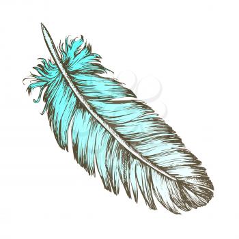 Color Lost Bird Outer Element Feather Sketch Vector. Fluffy Feather Bird Detail Covering Varmint Body Arise From Certain Well-defined Tracts On Skin. Designed In Retro Style Illustration