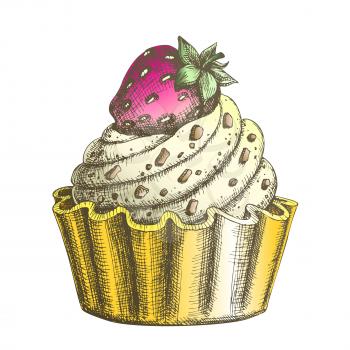 Color Creamy Delicious Cake Sweet Dessert Ink Vector. Confectionery Tasty Cake Made From Custard Cream Decorated Chocolate Crumbs And Strawberry On Top. Designed Food Template Illustration