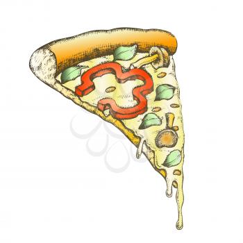Color Vegetarian Italian Slice Pizza Hand Drawn Vector. Slice Cheese Pizza With Ingredients Mushroom Honey Agaric And Paprika Pepper, Basil Leaves And Oregano Concept. Designed Illustration