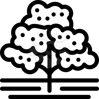 coffee tree icon vector. coffee tree sign. isolated contour symbol illustration