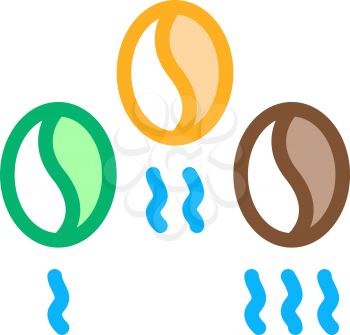 coffee beans different fry icon vector. coffee beans different fry sign. color symbol illustration