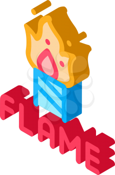 firework flame icon vector. isometric firework flame sign. color isolated symbol illustration
