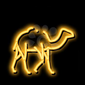 Camel neon light sign vector. Glowing bright icon Camel sign. transparent symbol illustration