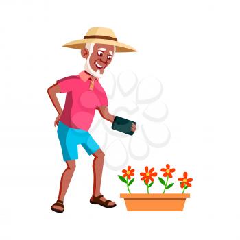 Old Man Photographing Flowers In Garden Vector. Happy Aged Pensioner Guy Making Photo Growing Flowers On Mobile Phone Camera. Character Using Electronic Gadget Flat Cartoon Illustration