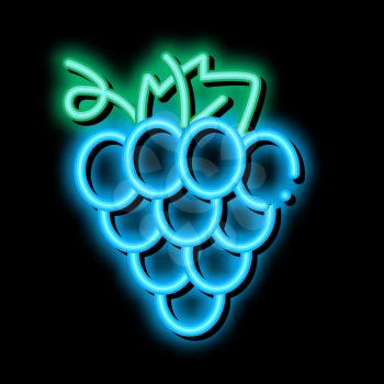 Grape Wine Berry neon light sign vector. Glowing bright icon Grape Wine Berry sign. transparent symbol illustration