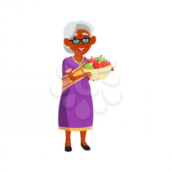 grandmother harvesting apples in garden cartoon vector. grandmother harvesting apples in garden character. isolated flat cartoon illustration
