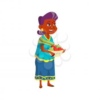 indian granny holding apple harvest in garden cartoon vector. indian granny holding apple harvest in garden character. isolated flat cartoon illustration