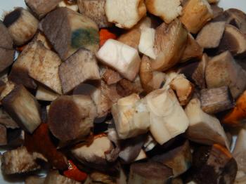 Collection and preparation of autumn edible mushrooms