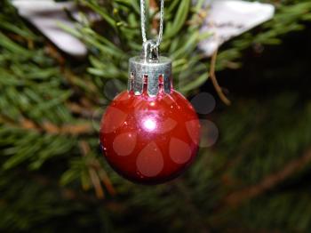 Christmas tree decoration and toys