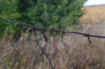 Barbed wire stretched on a fence for security